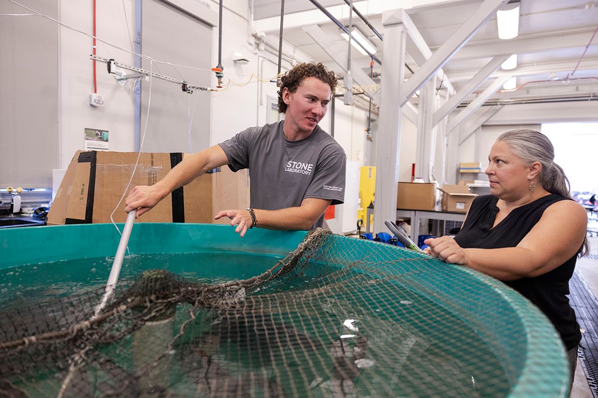 Mike Penka talks with his mentor Suzanne Gray while working on a project at Stone Lab.